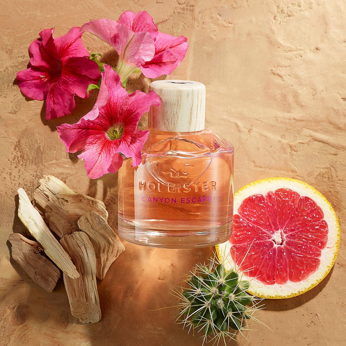 Hollister Canyon Escape Women EDP Spray 3.4 oz, (HO26700)