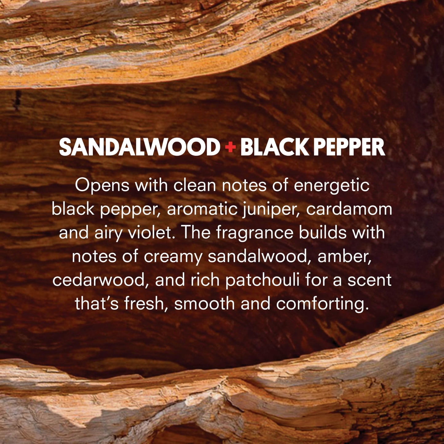 Huron Men’s Cologne - Eau de Parfum for Everyday Wear - Clean & Woody Scent of Sandalwood, Black Pepper, Cedarwood & Amber - Long Lasting - Safe