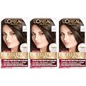 L'Oreal Paris Excellence Creme Permanent Hair Color, 4 Dark Brown (Pack of 3)