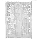 Shower Curtain Floral Design, 12 Hooks, Vinyl Lace Textured, Clear, 72x72 Inches