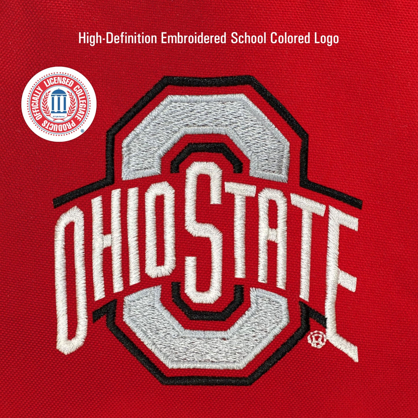 JanSport NCAA Officially Licensed Backpack, Ohio State Buckeyes, Big Student with Padded 15-Inch Laptop Sleeve, 2 Compartment Computer Bag with Bottle Pocket & Haul Handle, Book Rucksack, Red Tape