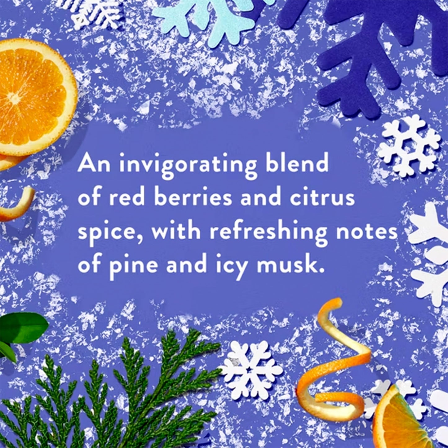 Native Holiday Limited Edition Alpine Air Moisturizing Conditioner and Shampoo - 16.5 fl oz. - Pack Of 02