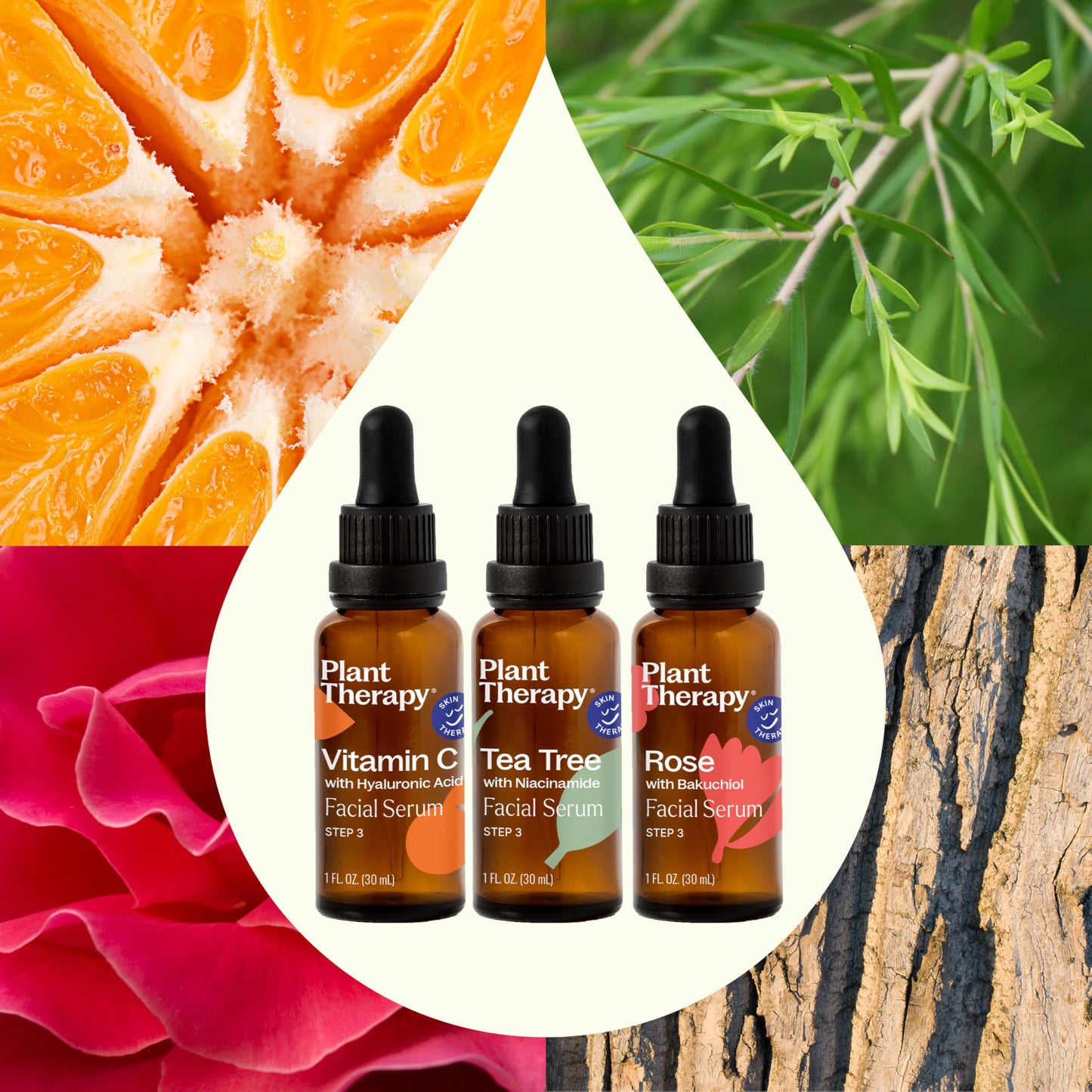 Plant Therapy Facial Serum Trio Set 1 oz each, Vitamin C & Hyaluronic Acid, Rose with Bakuchiol & Tea Tree with Niacinamide, Reduces the Appearance