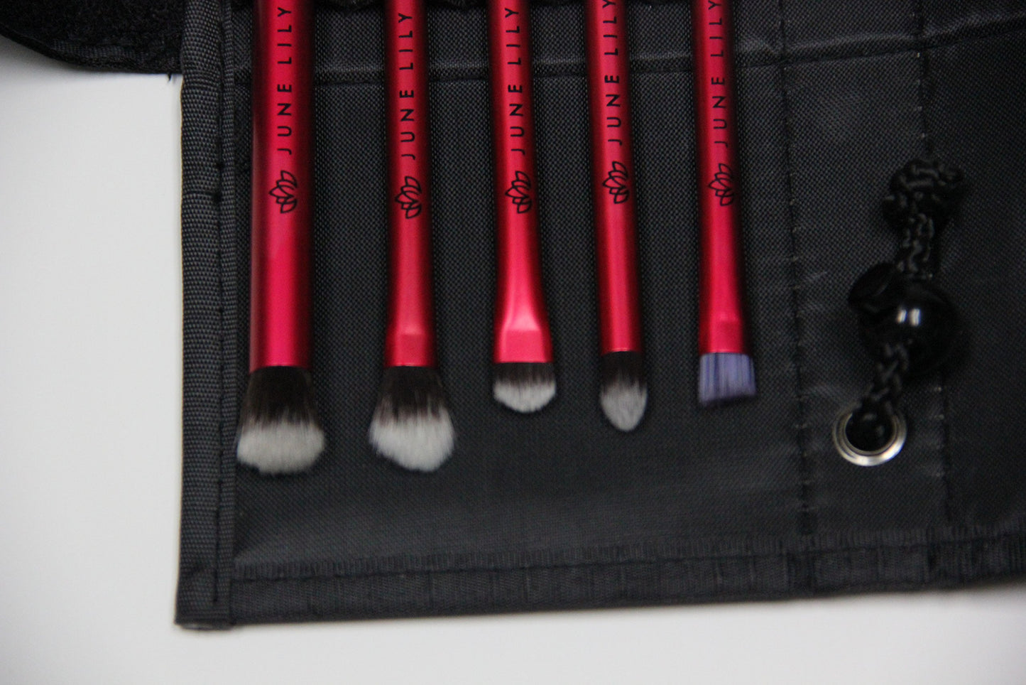 Professional Hypoallergenic Cosmetic Makeup Eye Shadow Brush Kit with Carrying Case (5-Piece Set)