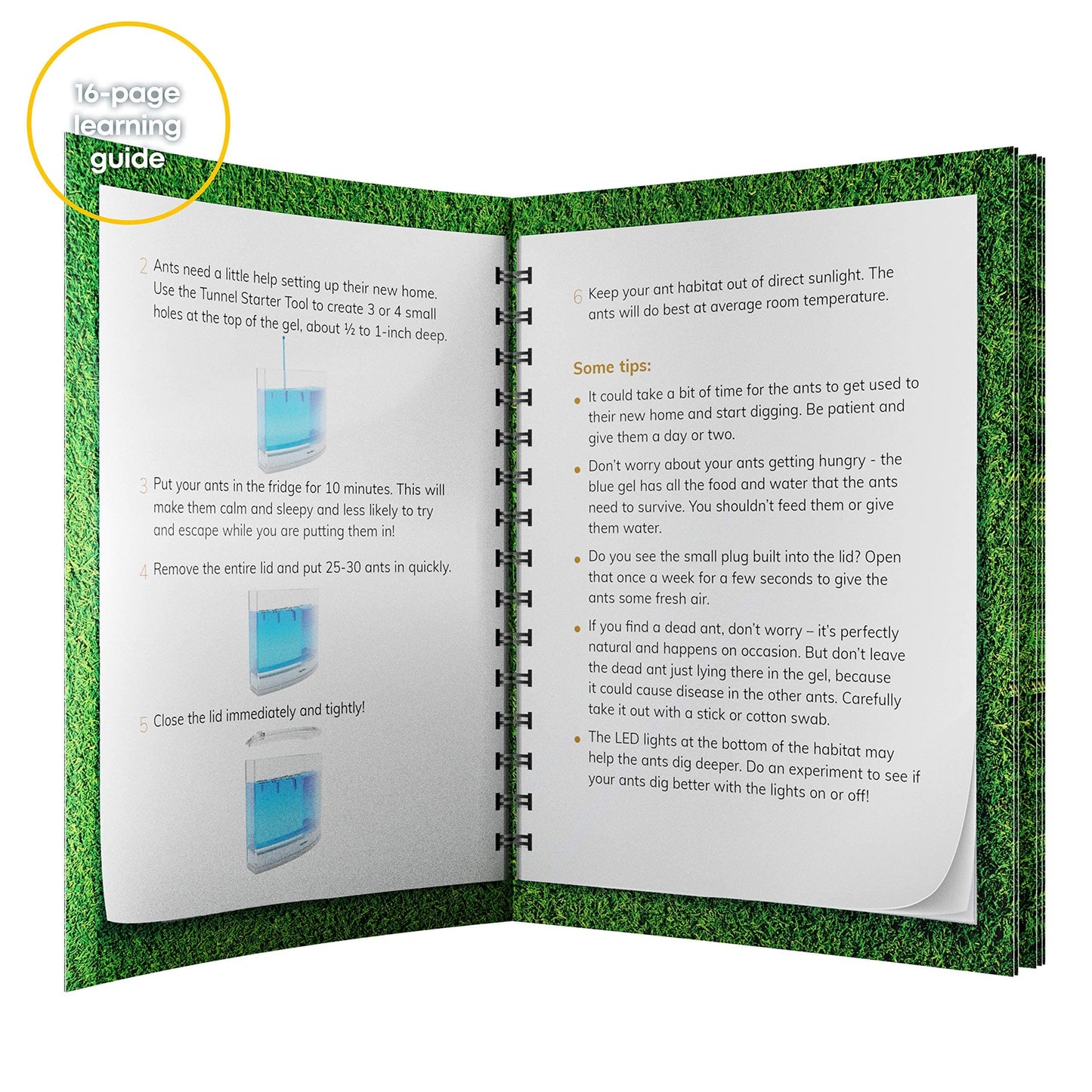 Dan&Darci Light-Up Ant Farm Terrarium – LED Habitat with Nutrient-Rich Gel, Watch Ants Dig Tunnels, Fun STEM Science Kit & Gift for Kids