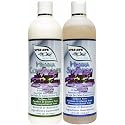 Vitamyr Henna Care Set 16 Oz Natural Shampoo & 16 Oz Natural Conditioner Vibrant Color Care & Nourishment for Gorgeous Tresses