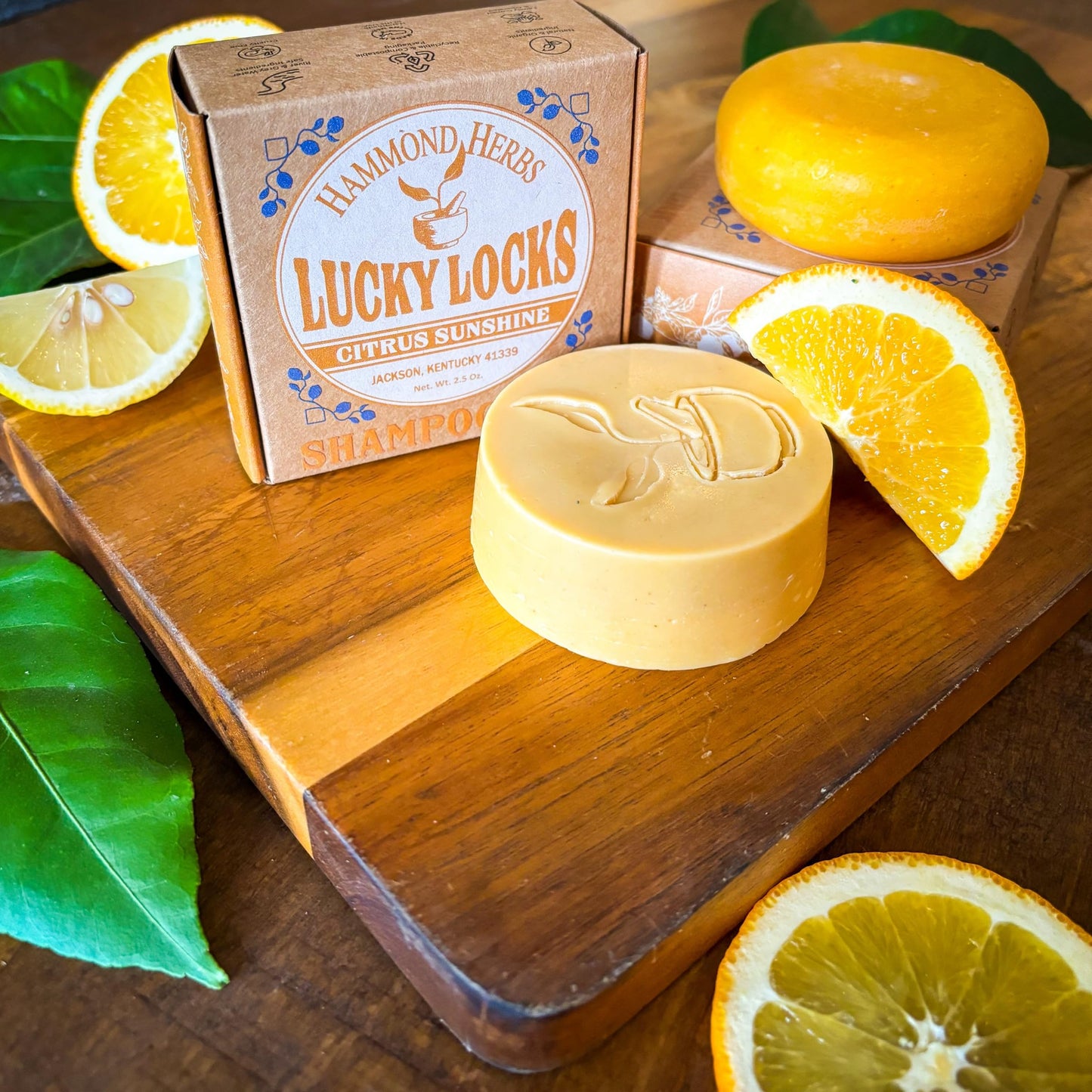 Lucky Locks | Pick Your Scent | Natural Shampoo & Conditioner Bar Set | Zero Waste Hair Care | Sulfate Free (Citrus Sunshine)