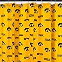 College Covers Everything Comfy Iowa Hawkeyes Bright and Colorful Shower Curtain Cover