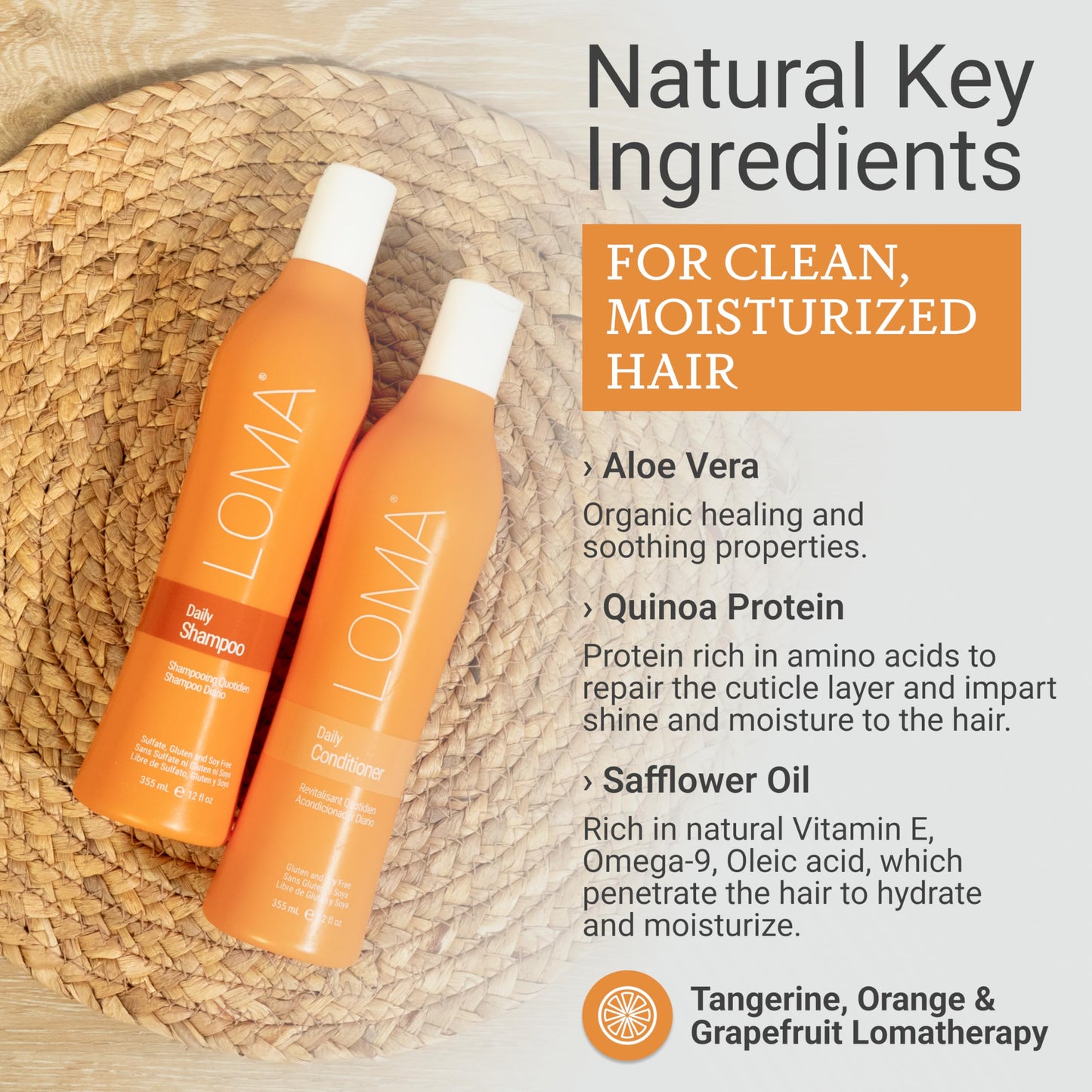 LOMA Daily Shampoo (clear formula) and Daily Conditioner (DUO PACK) 12 Ounce Each