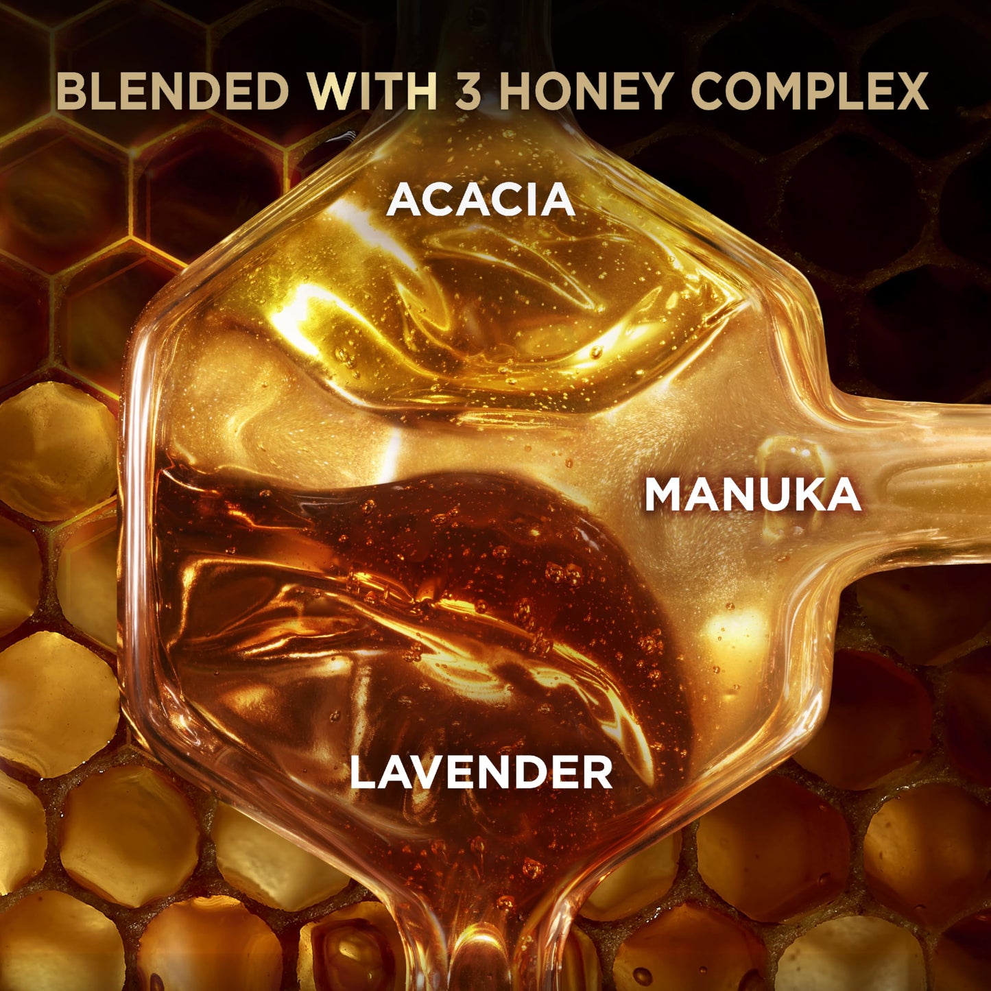 Garnier Whole Blends Honey Treasures Repairing Conditioner, for Dry, Damaged Hair, 22 Fl Oz, 2 Count (Packaging May Vary)