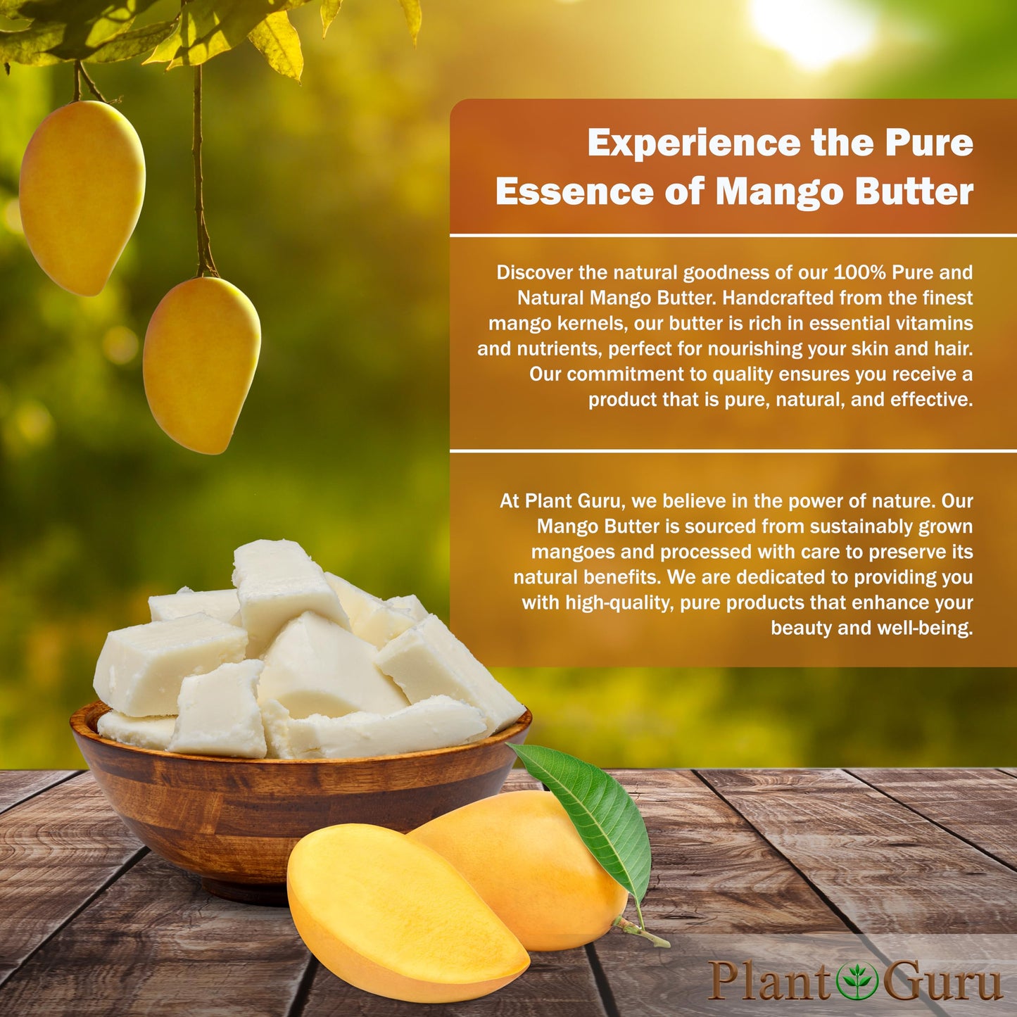 Plant Guru Raw Mango Butter 3 lbs. Bulk Jar - 100% Pure Natural Unrefined - Great for Skin, and Hair Growth. DIY Soap Making, Body Butters, Lotions Beauty & Personal Care Plant Guru