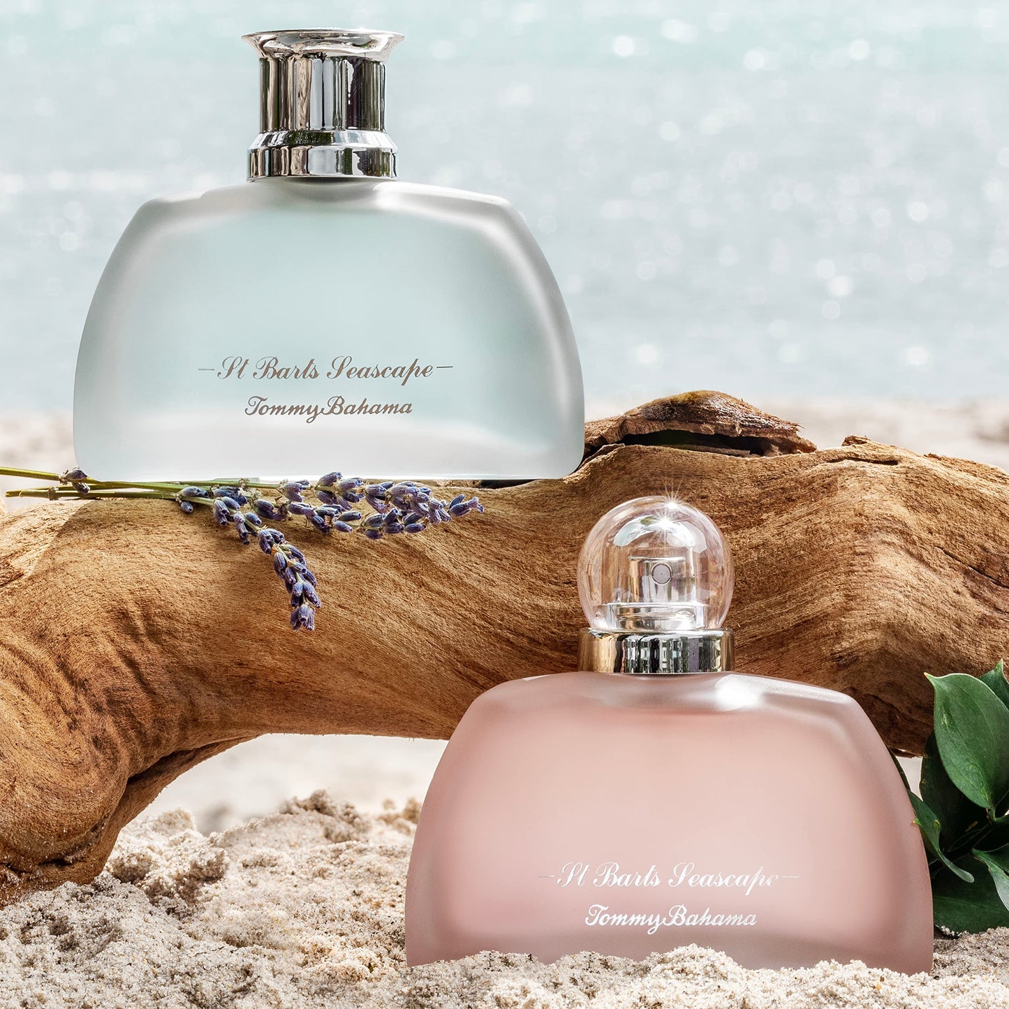 Tommy Bahama Seascape Eau De Parfum for Women