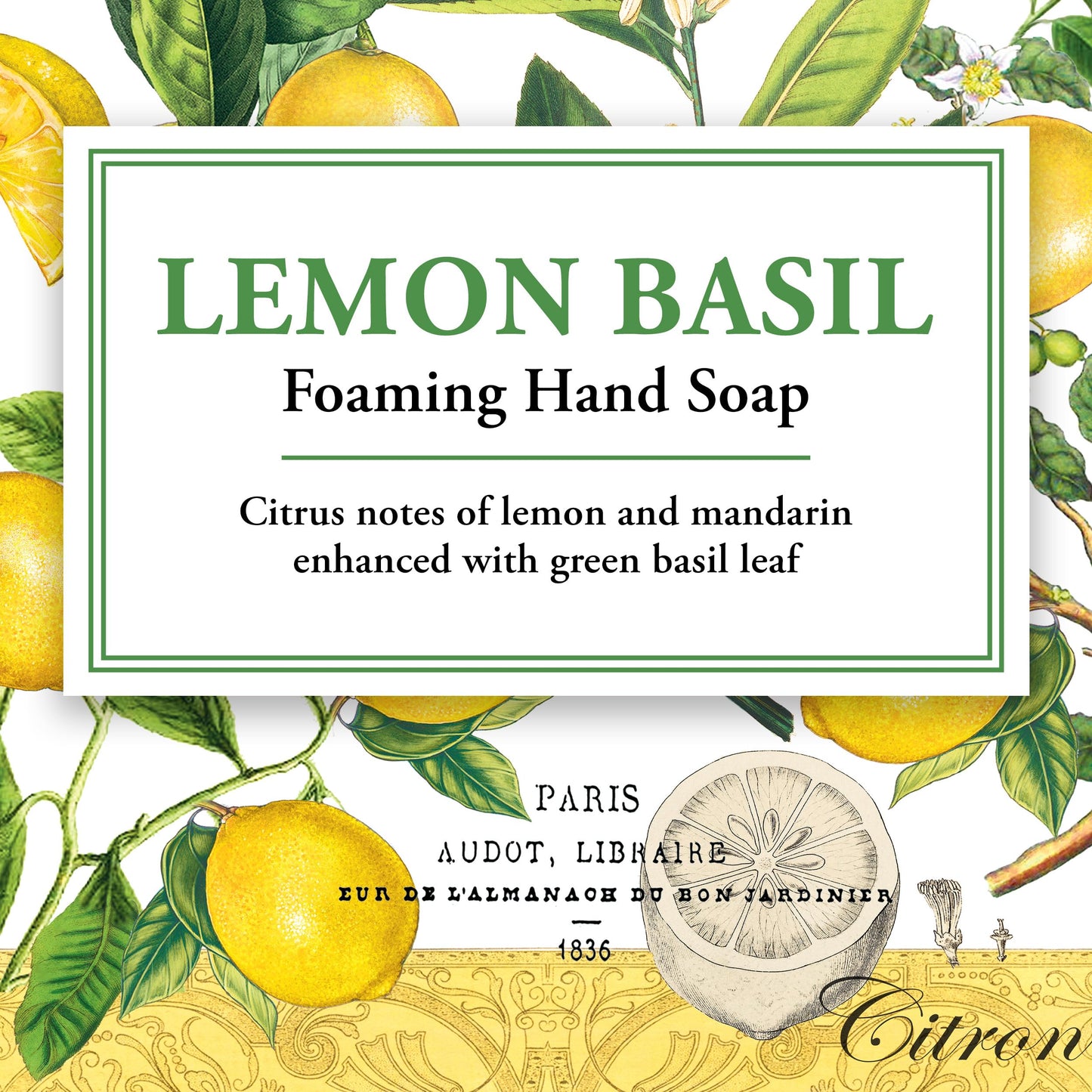 Michel Design Works Foaming Hand Soap, Lemon Basil, 1-Pack, 17.8 Fl oz Each
