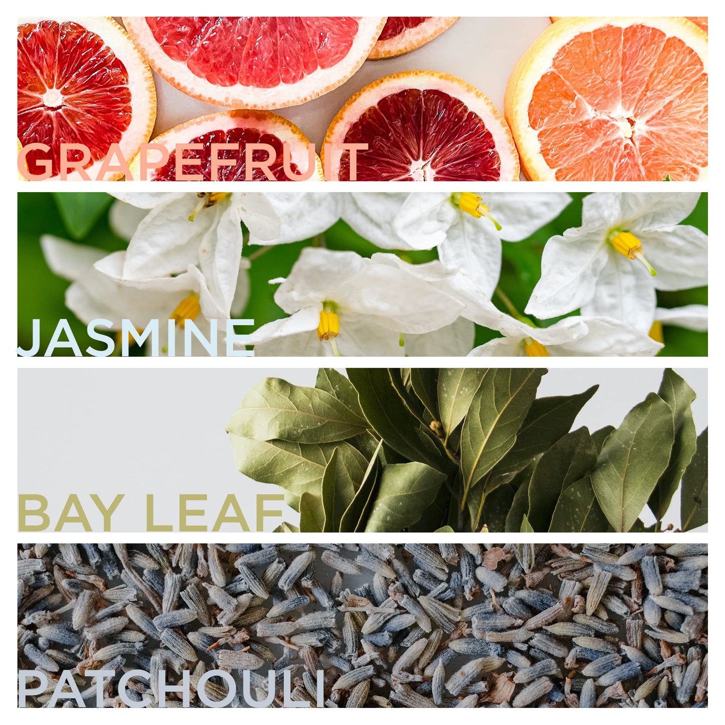 English Laundry Cambridge Knight Eau de Parfum, 3.4 Fl Oz