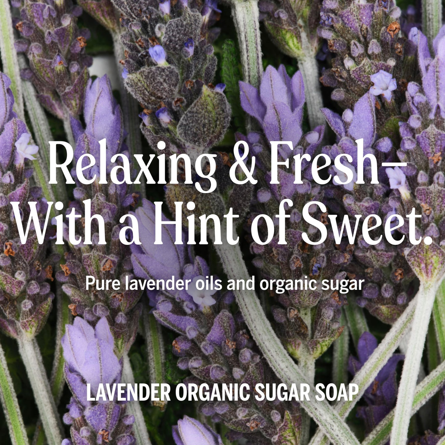 Dr. Bronner's - Organic Sugar Soap (Lavender, 24 Ounce) - Made with Organic Oils, Sugar and Shikakai Powder, 4-in-1 Uses: Hands, Body, Face and Hair