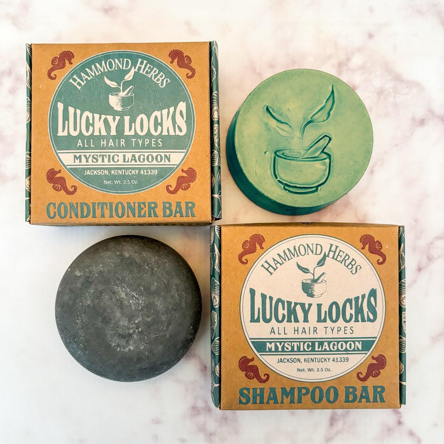 Lucky Locks | Pick Your Scent | Natural Shampoo & Conditioner Bar Set | Zero Waste Hair Care | Sulfate Free (Mystic Lagoon)