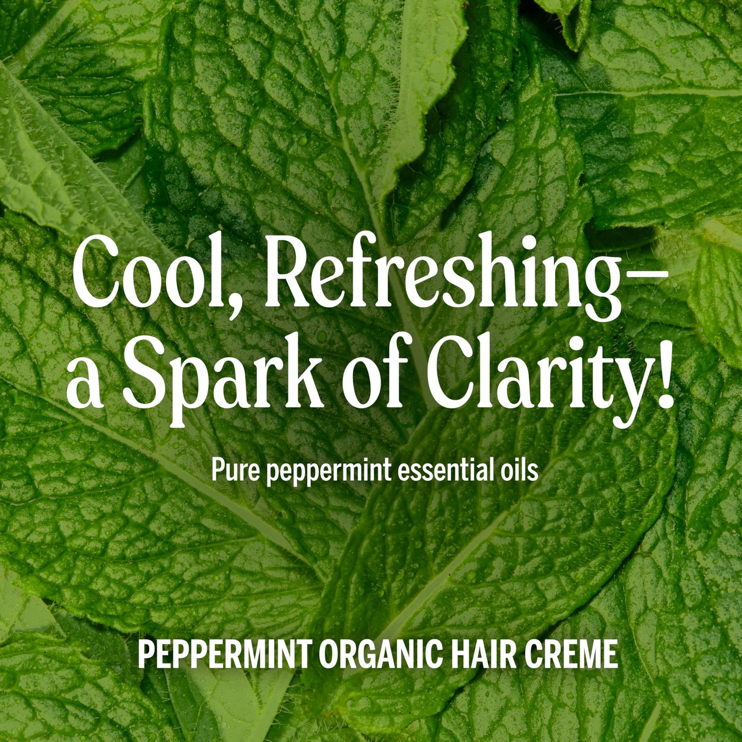 Dr. Bronner's - Organic Hair Crème (Peppermint, 6 Ounce, 2-Pack) - Leave-In Conditioner and Styling Cream, Made with Organic Oils, Hair Cream Supports