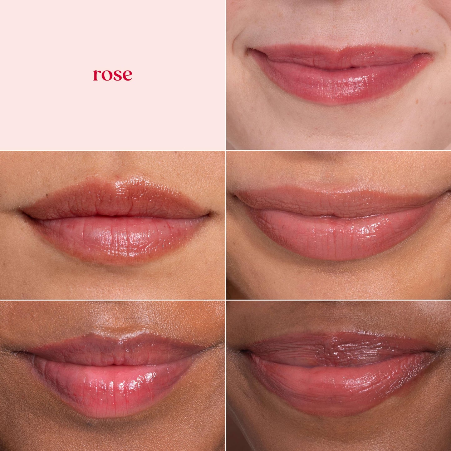 Burt's Bees Lip Tint Balm, Long Lasting 2 in 1 Duo Tinted Balm Formula, Color Infused with Hydrating Shea Butter for a Natural Looking Buildable