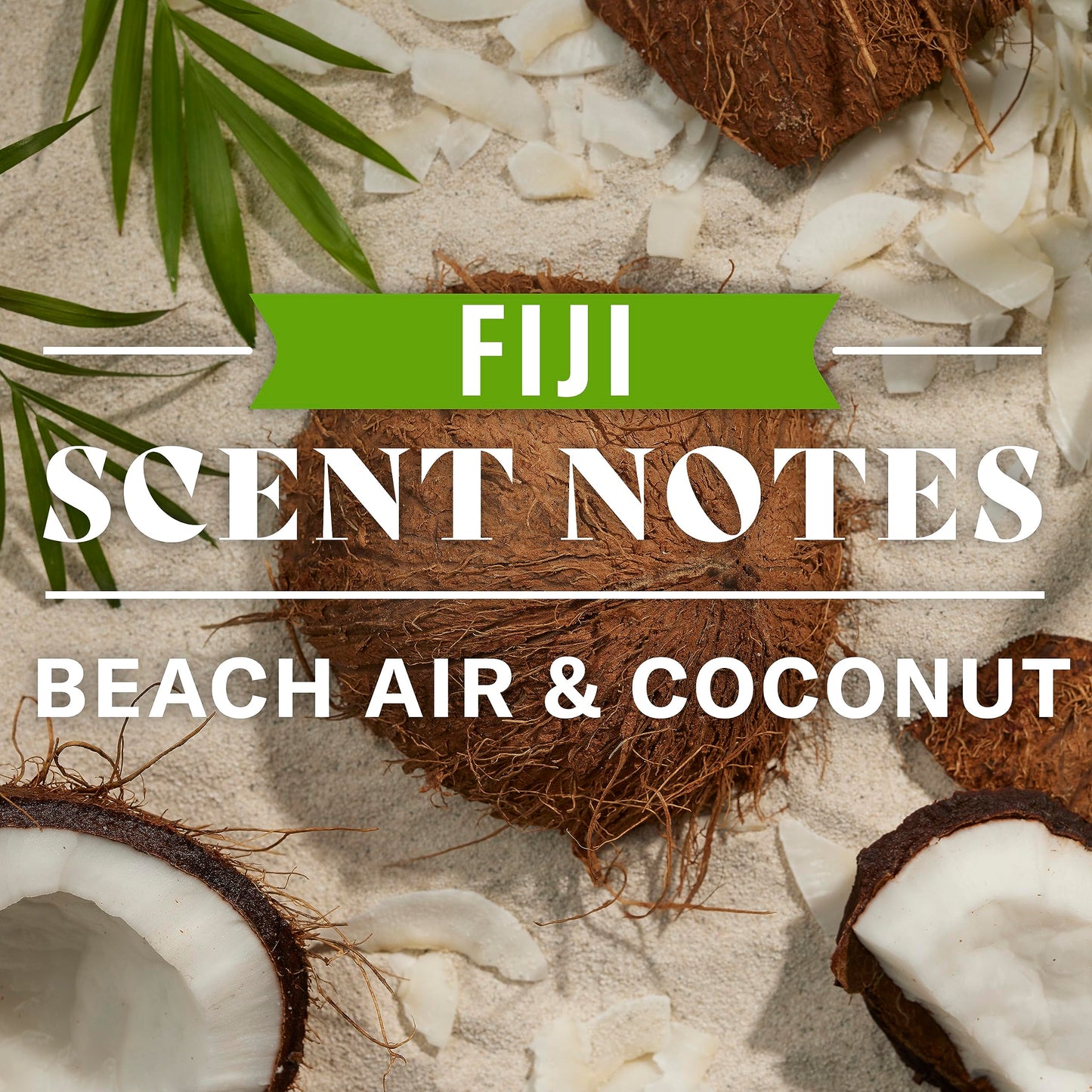 Old Spice Fiji 2-in-1 Shampoo and Conditioner for Men, 22 Fl Oz