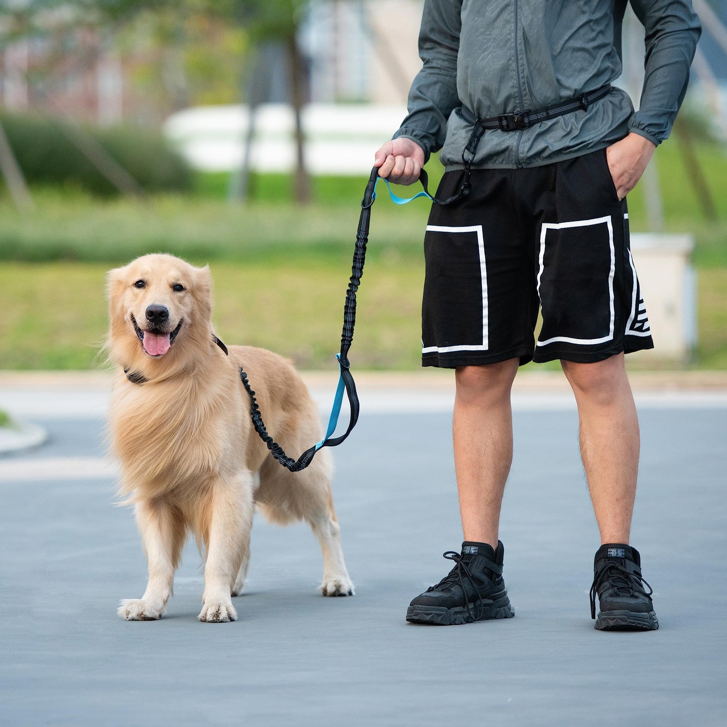 iYoShop Hands Free Dog Leash with Pouch, Dual Handles & Bungee for Walking, Jogging, Running Dogs 25-120 lbs (Black)