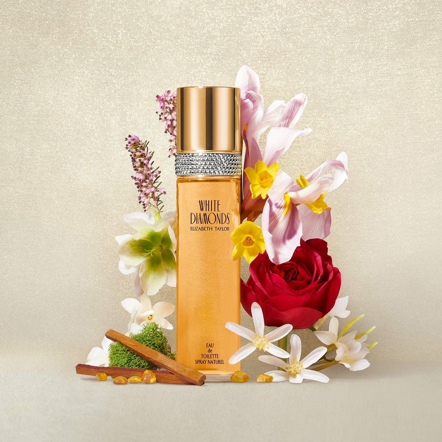 Elizabeth Taylor White Diamonds Women's Fragrance 4 Piece Gift Set