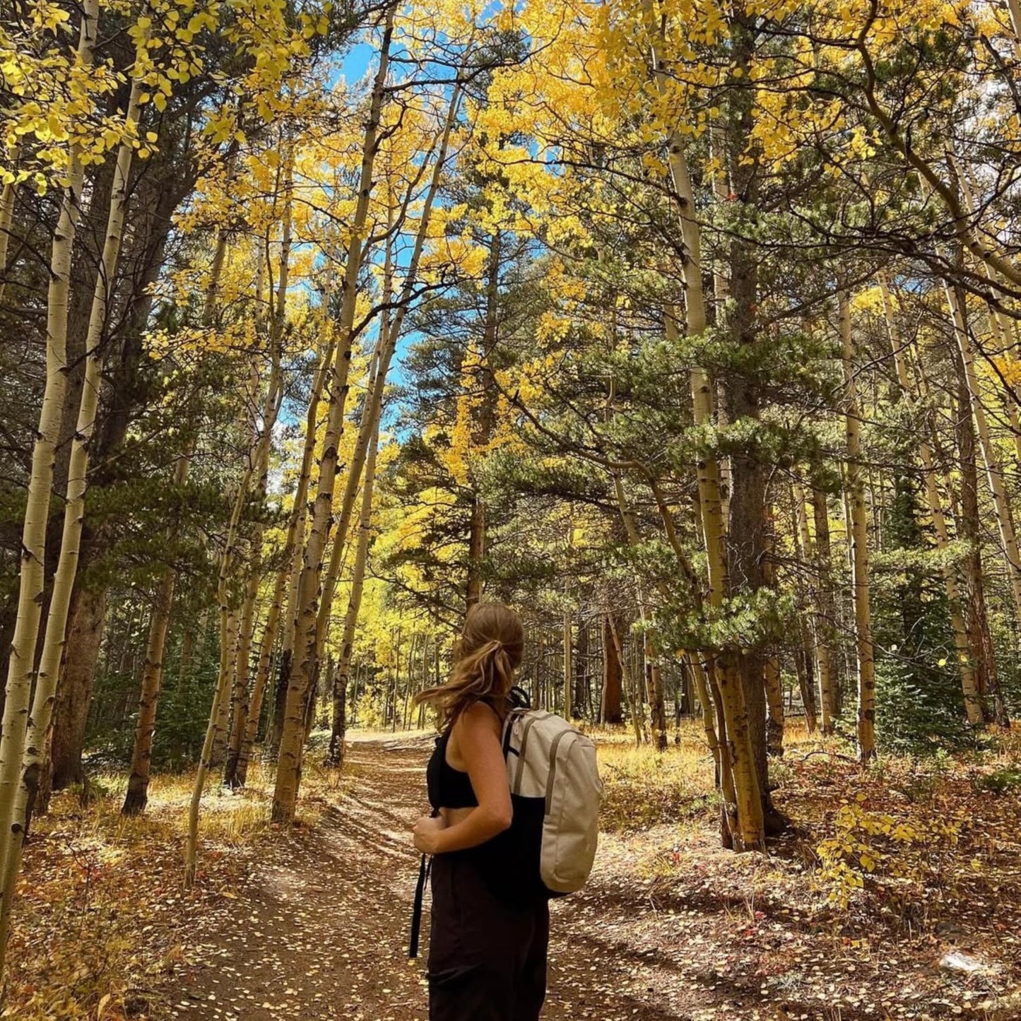 Sherpani Getaway, Casual Daypack Backpacks, Laptop Backpack, 22L Travel Backpack for Women, Travel Gift, Fits 15'' Laptop, RFID Protection (Con Leche)