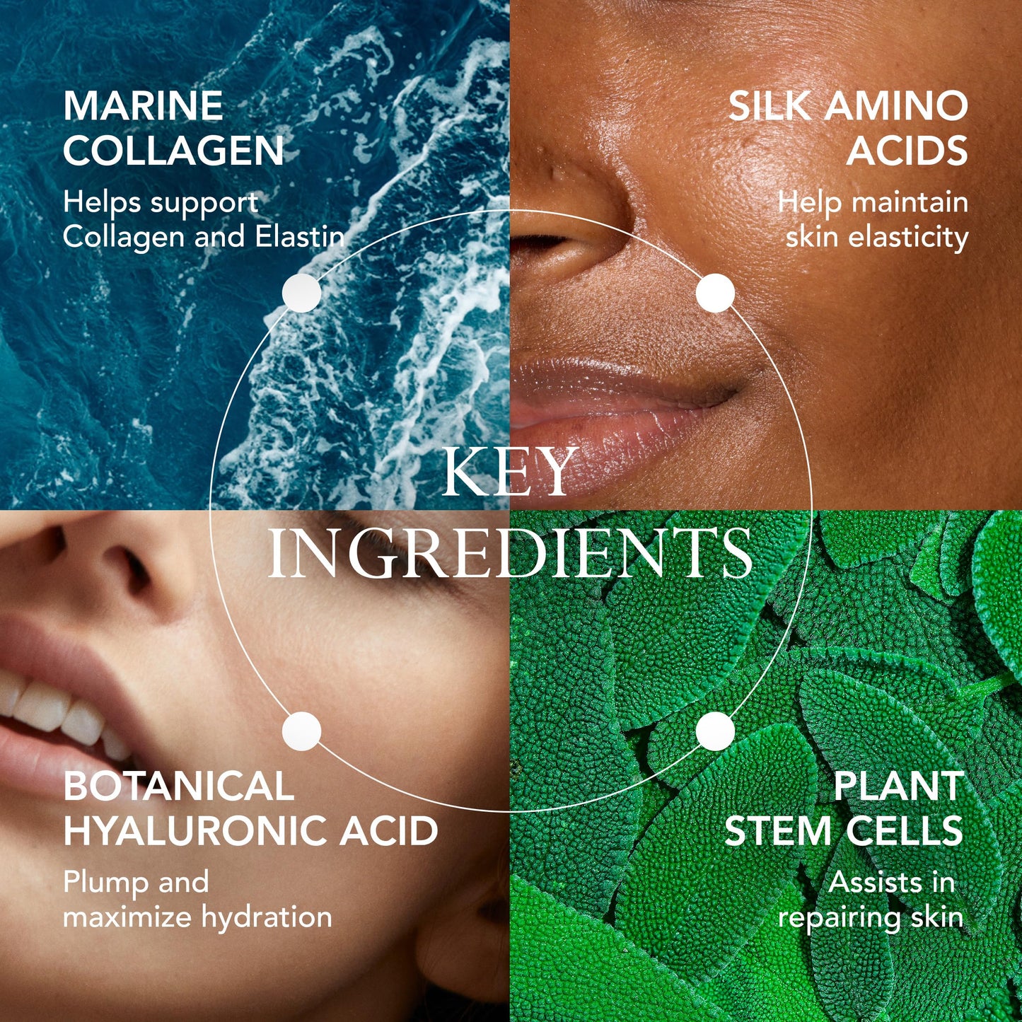 Kat Burki Form Control Marine Collagen Face Serum. Clinically Proven Anti-Aging Care Promoting Collagen Production: Lifts, Plumps & Contours Skin - 1